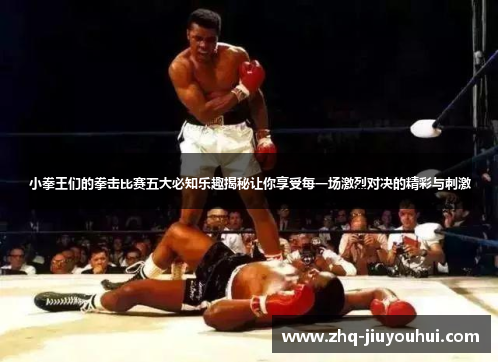 小拳王们的拳击比赛五大必知乐趣揭秘让你享受每一场激烈对决的精彩与刺激 小拳王们的拳击比赛五大必知乐趣揭秘让你享受每一场激烈对决的精彩与刺激